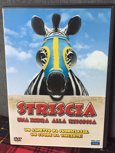 Striscia una zebra alla - una,